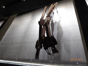 P1010305
