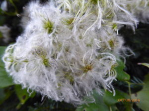 p1050733